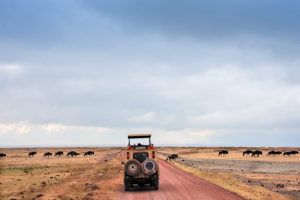 What Is It Really Like to Go on a Tanzania Safari Tanzania Safari
